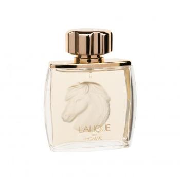 Lalique Pour Homme Equus 75 ml woda perfumowana dla mężczyzn