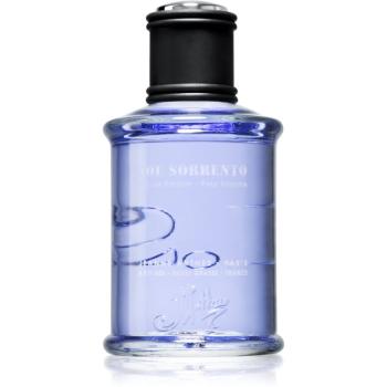 Jeanne Arthes J.S. Joe Sorrento woda perfumowana dla mężczyzn 100 ml