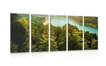 5-częściowy obraz rzeka w środku zielonego lasu - 100x50