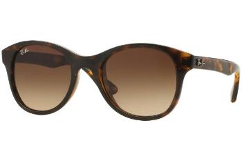 Ray-Ban RB4203 710/13 ONE SIZE (51)