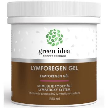 Green Idea Lymforegen żel do masażu przyspieszający regenerację po zwiększonej aktywności fizycznej 250 ml