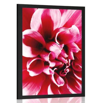 Plakat różowy kwiat - 20x30 silver