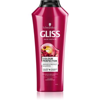 Schwarzkopf Gliss Colour Perfector szampon ochronny do włosów farbowanych 400 ml