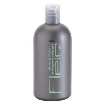Gestil Fleir by Wonder szampon do częstego stosowania do włosów przetłuszczających się 500 ml