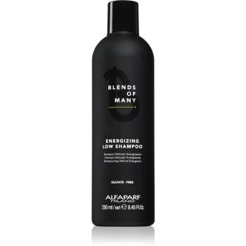 Alfaparf Milano Blends of Many Energizing szampon energizujący do włosów cienkich i delikatnych 250 ml