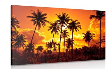 Obraz palmy kokosowe na plaży - 120x80