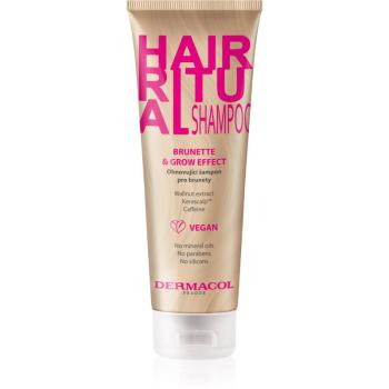 Dermacol Hair Ritual szampon odbudowujący włosy do włosów w odcieniach brązu 250 ml