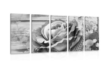 5-częściowy obraz elegancka róża vintage w wersji czarno-białej - 200x100