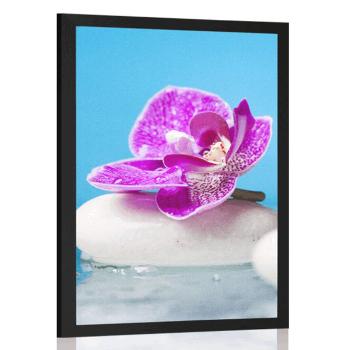 Plakat orchidea i kamienie zen - 20x30 black