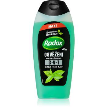 Radox Refreshment odświeżający żel pod prysznic dla mężczyzn 400 ml