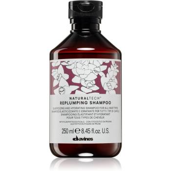 Davines Naturaltech Replumping Conditioner szampon nawilżający 250 ml