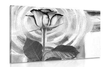 Obraz róża na płótnie malarskim w wersji czarno-białej