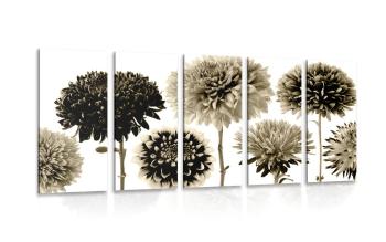 5-częściowy obraz kwiaty dalii w różnym dizajnie w kolorze sepii - 200x100