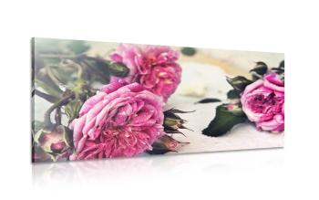 Obraz kwitnące róże - 100x50