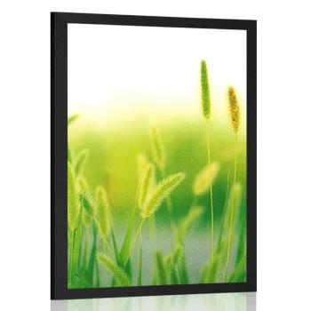 Plakat źdźbła trawy w zielonym designie - 30x45 silver