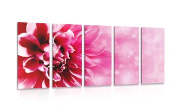 5-częściowy obraz różowy kwiat - 200x100