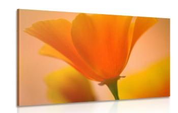 Obraz piękny kwiat - 90x60