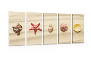 5-częściowy obraz muszle na piaszczystej plaży - 100x50