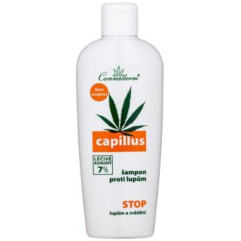Cannaderm Capillus Anti-Dandruff Shampoo szampon przeciwłupieżowy z olejkiem konopnym 150 ml