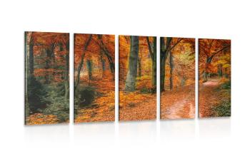 5-częściowy obraz las jesienią - 100x50