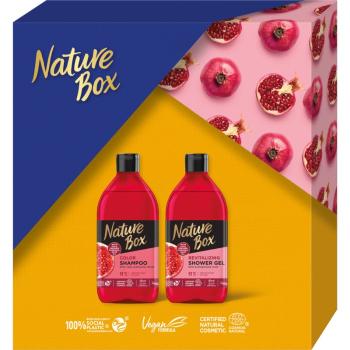 Nature Box Pomegranate zestaw upominkowy (chroniąca kolor)