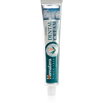 Himalaya Herbals Dental Cream wybielająca pasta do zębów z solą morską 100 ml