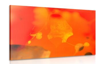 Obraz abstrakcyjnego ognistego liścia - 120x80