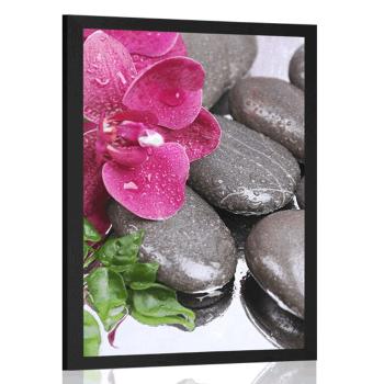 Plakat kwitnąca orchidea i kamienie wellness - 40x60 silver