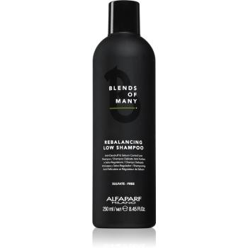 Alfaparf Milano Blends of Many Rebalancing szampon przeciwłupieżowy 250 ml