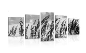 5-częściowy obraz trawa w czarnobiałym kolorze - 100x50