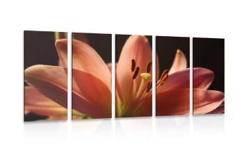 5-częściowy obraz piękna różowa lilia  na czarnym tle - 100x50