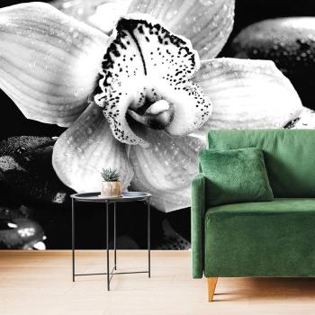 Fototapeta czarno-biała egzotyczna orchidea - 150x100