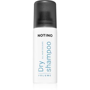 Notino Hair Collection Volume Dry Shampoo suchy szampon do wszystkich rodzajów włosów 50 ml