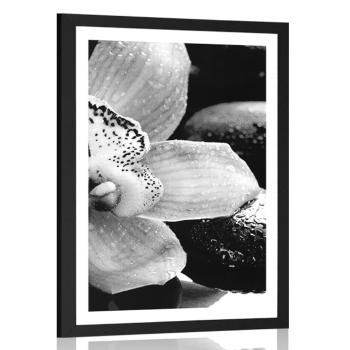 Plakat z passe-partout egzotyczna orchidea  w czerni i bieli - 60x90 black