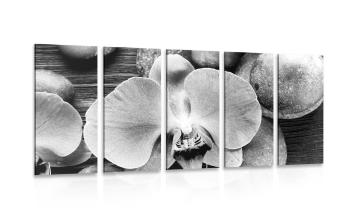 5-częściowy obraz piękna orchidea i kamienie w wersji czarno-białej - 100x50