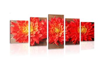 5-częściowy obraz czerwone kwiaty dalii - 100x50