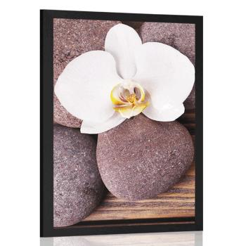 Plakat kamienie wellness i orchidea na drewnianym tle - 20x30 silver