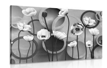 Obraz maki na abstrakcyjnym tle w wersji czarno-białej - 90x60