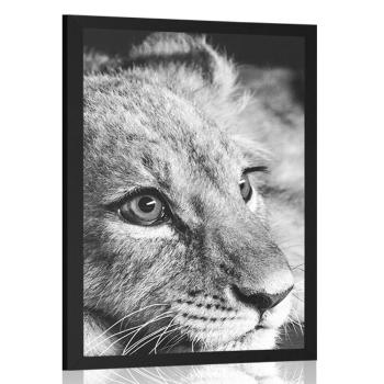 Plakat lwiątko w czerni i bieli - 60x90 silver