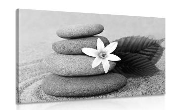 Obraz kwiat i kamienie w piasku w wersji czarno-białej - 120x80