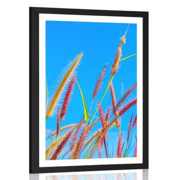 Plakat z passe-partout dzika trawa pod błękitnym niebem - 60x90 white