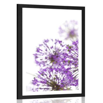 Plakat z passe-partout kwitnące fioletowe kwiaty czosnku - 40x60 silver