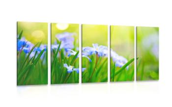 5-częściowy obraz kwiaty na łące wiosną