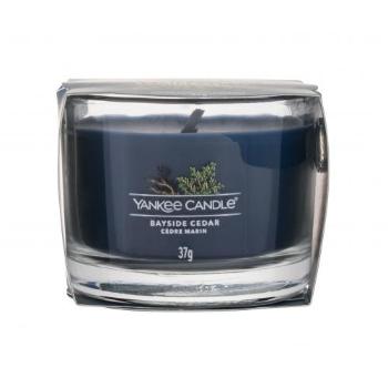 Yankee Candle Bayside Cedar 37 g świeczka zapachowa unisex