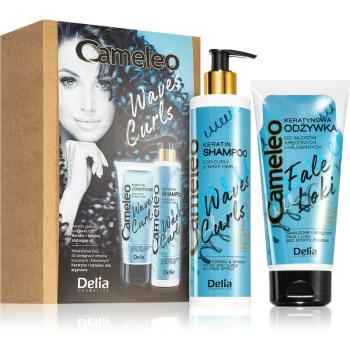 Delia Cosmetics Cameleo Waves and Curls zestaw upominkowy (do włosów kręconych i falowanych)