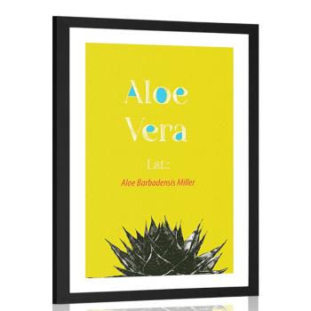 Plakat passepartout cudowna Aloe Vera - 60x90 black