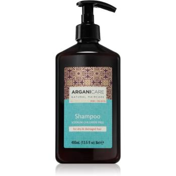 Arganicare Argan Oil & Shea Butter szampon do włosów suchych i zniszczonych 400 ml