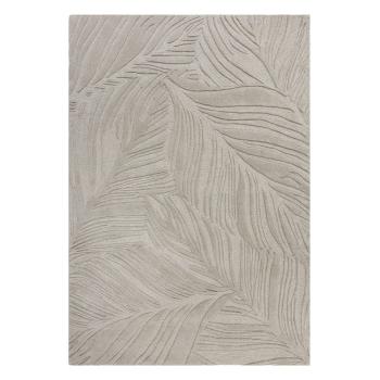Szary dywan wełniany Flair Rugs Lino Leaf, 160x230 cm