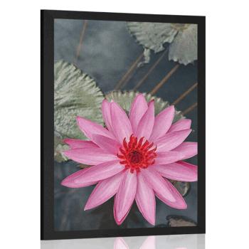 Plakat uroczy kwiat lotosu - 30x45 black