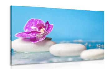 Obraz orchidea i kamienie Zen - 90x60